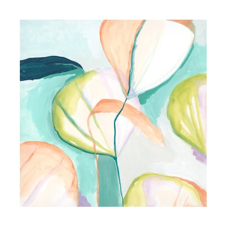 June Erica Vess 'Fan Flowers III' Canvas Art, 18x18